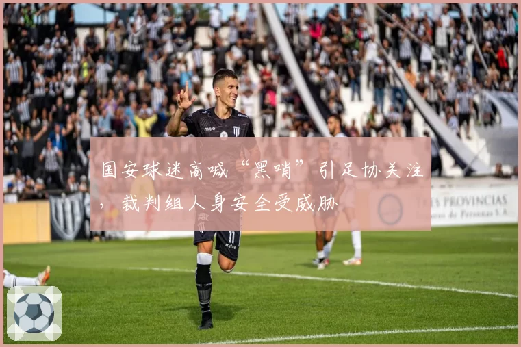 国安球迷高喊“黑哨”引足协关注，裁判组人身安全受威胁